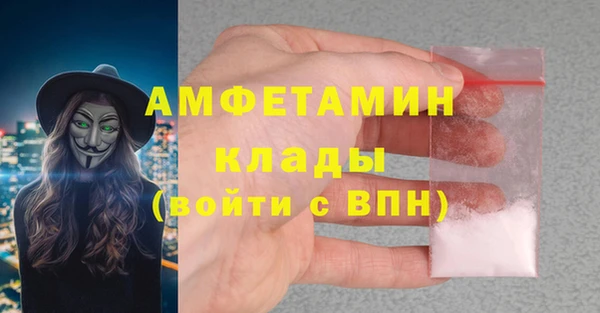 прущие крисы Новозыбков