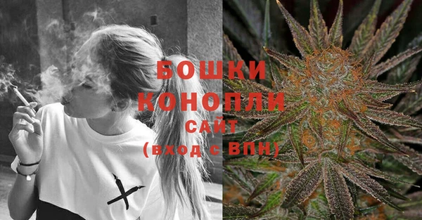 прущие крисы Новозыбков
