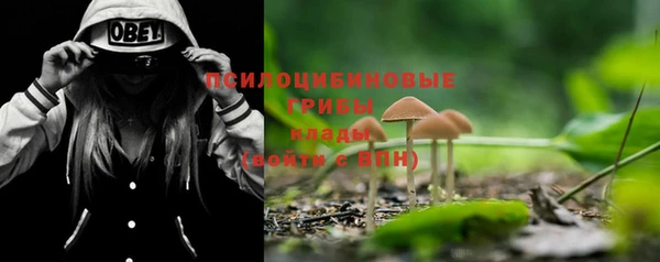 прущие крисы Новозыбков