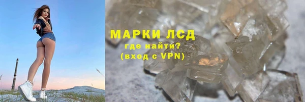 прущие крисы Новозыбков