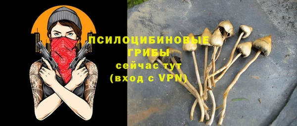 прущие крисы Новозыбков