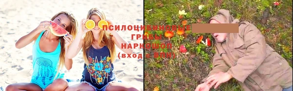 прущие крисы Новозыбков
