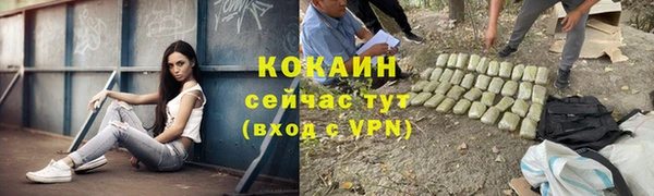 ALPHA PVP Новодвинск