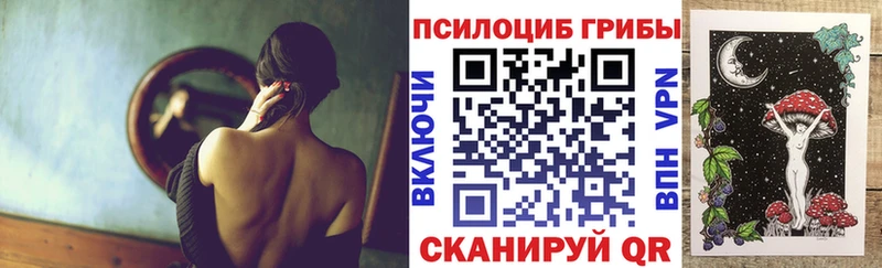 darknet клад  где купить наркотик  Сызрань  Галлюциногенные грибы MAGIC MUSHROOMS 