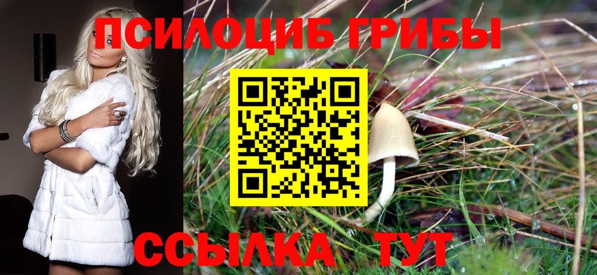 Сызрань  Галлюциногенные грибы Psilocybe  Вход с VPN  Псилоцибиновые грибы GOLDEN TEACHER 