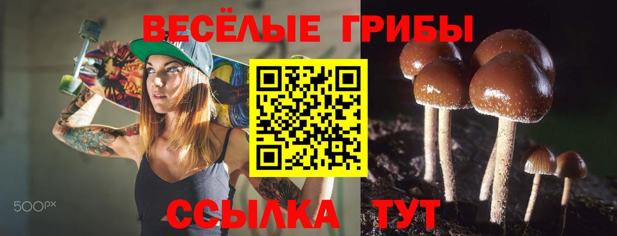 Галлюциногенные грибы Cubensis Сызрань